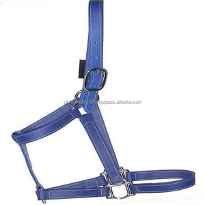 Licou de cheval en cuir véritable à finition bleue, licou de cheval en cuir épais à double couture avec raccords réglables, nouvelle collection 2023 - Product Image 1