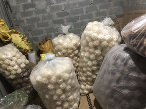 Bola de ratán hecha a mano de Vietnam, proveedor de artesanías decorativas, exportador mayorista para pedidos a granel, precio competitivo - Product Image 5