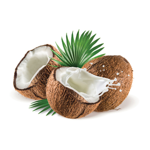Cocos enteros frescos para procesamiento alimentario y uso en bebidas - Product Image 6