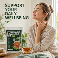Botanischer Wellness-Unterstützungstee in Beuteln für Internes Gleichgewicht und Vitalität - Pflanzliche Nährstoffinfusion, Vegan, 10 Stück, 50g Beutel