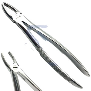 Forceps d'extraction dentaire n°33, latéral supérieur et canin, modèle anglais, instruments chirurgicaux en acier inoxydable, CE - Product Image 1