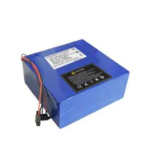 48V 65Ah 3120Wh 13S13P 21700 5000毫安可充电锂离子电池定制24V 36V 48V 30Ah 40Ah电动自行车UPS房车锂电池