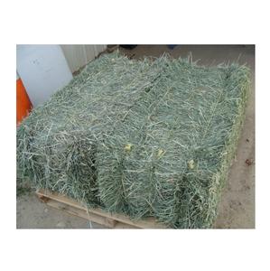 Fardos de heno Timothy de proteína pura de alta calidad, venta al por mayor, heno de alfalfa y Bermudas para ganado, caballos y animales - Product Image 2