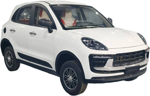 Coche Eléctrico de Baja Velocidad, Cerrado, en Oferta, Precio de Fábrica - Product Image 4