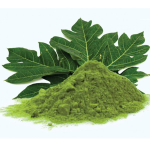 ใบมะละกอแห้งลับสำหรับสวนในบ้าน - Product Image 5