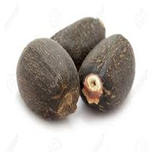 Graines de Jatropha Séchées Biologiques et Mûres à Vendre - Product Image 4