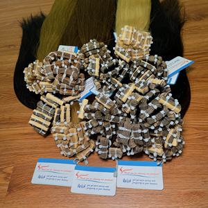 Extensión de cabello con cinta vietnamita, liso natural y varios colores de 6 a 32 pulgadas, en stock ahora y listo para enviar - Product Image 1