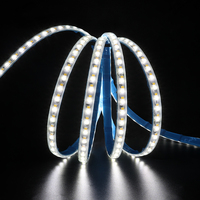 Bande lumineuse LED sans fil haute tension en PVC, Plug&Play, 220V, 2835, 120 LED/m, 9W/m, 900lm, IP65, découpe à 100mm, pour usage paysager, CERoHS