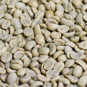 ผู้ผลิตเวียดนามจัดจำหน่าย - เมล็ดกาแฟโรบัสต้าดิบ ไม่ผ่านกระบวนการคั่ว กระบวนการธรรมชาติ S16,S18 บรรจุภัณฑ์แบบกระสอบ 60 กก./ถุง แหล่งผลิต ดักลัก - Product Image 2