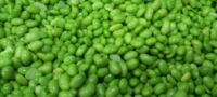 Vente en gros en vrac de soja surgelé IQF, edamame vert, haricots verts jeunes, Akina