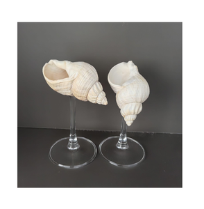 Gafas artesanales inspiradas en conchas marinas: Obras Maestras sopladas a mano para decoración y entretenimiento de lujo. - Product Image 1