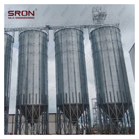 Silo de Almacenamiento de Granos de Café Directo de Fábrica, Capacidad Personalizada de 20-3000T Disponible