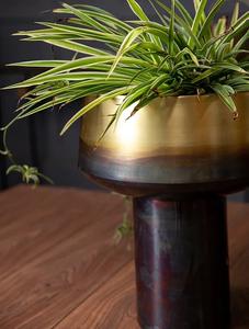 Jardinière en métal avec finition double ton pour décoration de maison et de jardin Jardinière en fer pour décoration de fleurs et de plantes - Product Image 6