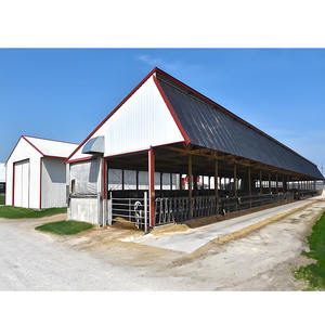 Moderno Stalla Prefabbricata <span class=keywords><strong>RT</strong></span>-MT-015 in Acciaio Zincato a Caldo per Allevamento Bovino, Installazione Rapida con Bullonatura, per Fattoria Lattiero-Casearia - Product Image 6