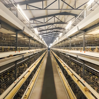 Hangar de poulet en acier modulaire portable assemblé rapidement pour la Ventilation temporaire des fermes tropicales de volaille poules pondeuses