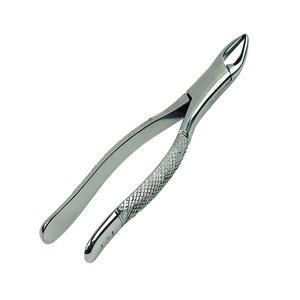 Pinzas de extracción de dientes para adultos, instrumento Dental de alta calidad, certificado de tipo de origen, año de garantía, Oral, ISO, Canleo - Product Image 6