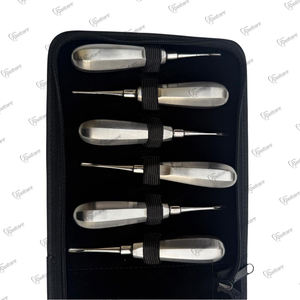 Kit de Elevadores de Raíces Luxantes Premium, 12 Piezas, Acero Francés, Juego de Instrumentos Quirúrgicos Dentales con Punta Afilada - Product Image 6