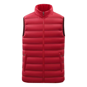 Chaqueta acolchada impermeable de invierno para hombre, cuello levantado, logotipo frontal, gruesa, informal, a prueba de viento - Product Image 1