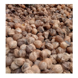 Coco maduro de carne pesada de Vietnam-Coco de cáscara marrón maduro para cocinar-Uso culinario en cocinas grandes - Product Image 5