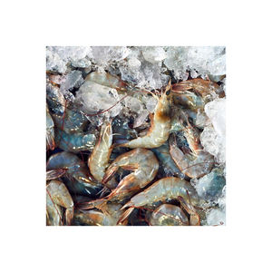 Crevettes blanches congelées de qualité supérieure de la mer rouge congelée taille M crevette - Product Image 4