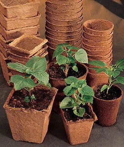 Pots de jardinière en fibre de coco écologiques disponibles pour la culture de beaux lotus bleus - Product Image 5