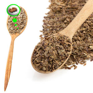 Aneth | Culture aromatique pour applications culinaires - Product Image 5