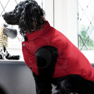 Luxueux Polyester Chien À Capuche Confortable Chaud Élégant Vêtements Pour Animaux De Compagnie pour Petit Grand XL XS XXL Tailles Toutes Saisons Y Compris L'hiver - Product Image 6