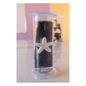 Contenedor de Exhibición Transparente para Especímenes de Museo, Precio Razonable, para Educación y Exposiciones de Investigación - Product Image 6