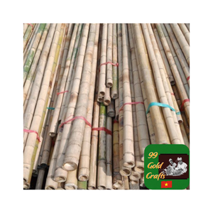 Poste de bambú natural de alta calidad de Vietnam para proyectos, poste de bambú tratado para construcción, andamios y soporte agrícola - Product Image 5