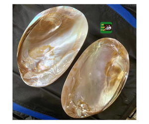 Prix de gros assiette de coquillage de perles assiette de coquillage de perles vietnamiennes assiette de perles faite à la main pour la décoration de mariage, présentoir de salle à manger 2025 - Product Image 1