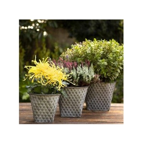กระถางต้นไม้แผ่นเหล็กชุบสังกะสีสำหรับปลูกต้นไม้กระถางดอกไม้พร้อมชุดกระถางต้นไม้กลางแจ้งในร่มดีไซน์ลายนูนหรูหราจำนวน3ชิ้น - Product Image 5