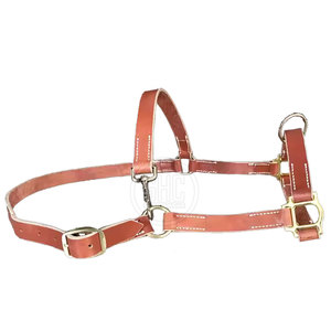 บังเหียนม้าขนาดพอเหมาะ - Product Image 1