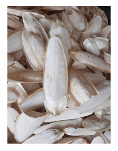Hueso de sepia seco Color blanco natural o blanqueado para piensos/reptiles/piensos para animales pequeños - Product Image 1