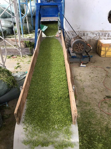 Polvo de Algas Marinas Verdes de Primera Calidad para Ventas Globales con Rico Sabor Umami y Alto Contenido de Nutrientes para Cocinas Profesionales - Product Image 3