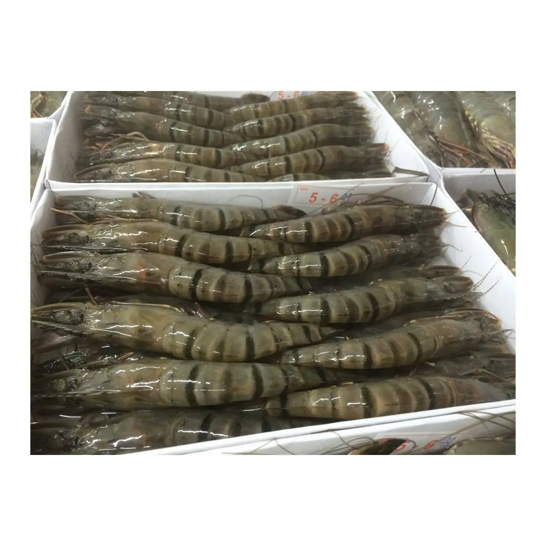 Block frozen Vannamei shrimps headless shellon from India Frozen shrimp vannamei