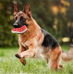 Juguete de Goma para Perros con Diseño de Zapatilla Transpirable - Juguete Interactivo Hueco para Masticar - Product Image 6