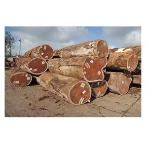 IROKO WOOD PADOUK, SAWN TIMBER WENGE, DOUSSIE, SAPELLI - Product Image 4