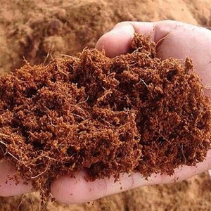 Copeeat-Bloque de copeat de Vietnam, producto de Agricultura, bloque de copeat para vacaciones - Product Image 6