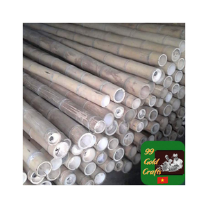 Poteau en bambou naturel durable du Vietnam pour le soutien de jardin, poteau en bambou extérieur traité pour l'agriculture, l'aménagement paysager et les utilisations structurelles - Product Image 4