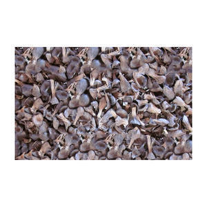 Carcasa de palmiste de alta calidad para combustible de biomasa y energía - Product Image 1