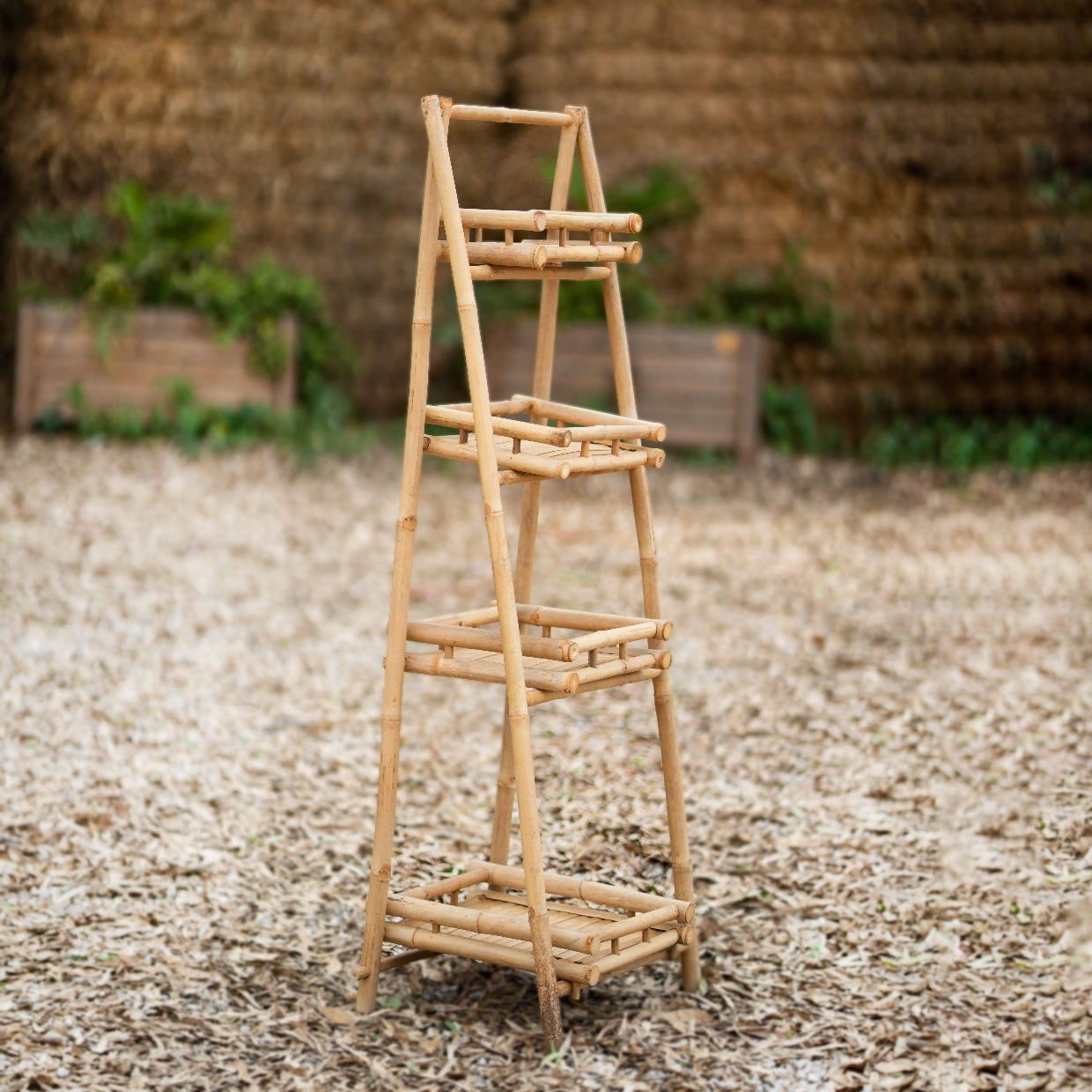 ธรรมชาติ