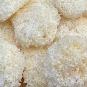 Tremella snow fungus dried ingredient selected natural material suitable for food manufacturing and cooking uses from Vietnam - Product Image 5