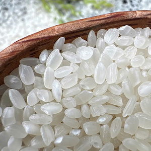 Riz de sushi japonica Koshihikari Hitomebore de qualité supérieure, nouvelle récolte, riz à grains courts, biologique japonais de haute qualité, 5% de grains brisés Vilaconic - Product Image 6
