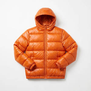 Veste d'hiver matelassée brillante pour homme, manteau en duvet d'oie à capuche, veste matelassée à bulles, logo personnalisé, usine OEM/ODM - Product Image 2