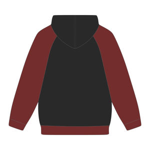 Sudadera con Capucha de Manga Raglán con Bordado Chenille de la Hermandad Griega Delta Divine Nine, Estilo Universitario, para Estudiantes de HBCU - Product Image 3