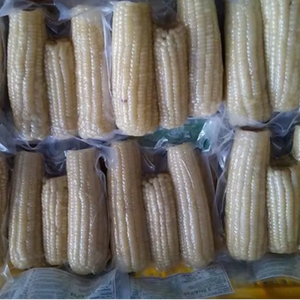 Fournisseur vietnamien de maïs sucré surgelé IQF en gros OEM, grains frais et propres, export en vrac pour les acheteurs internationaux - Product Image 4