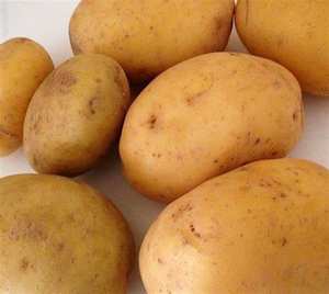 Patatas Frescas Amarillo Dorado de Alta Calidad, Variedad Holandesa, Marca Agrícola, 100/200/300g - Product Image 6