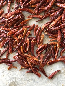 Chile Rojo Seco Picante Natural, Entero y sin Tallo, para el Mercado Internacional de Alimentos, Calidad Premium, Exportación a Granel, Suministro de Pimiento Rojo - Product Image 6