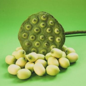 Venta caliente en semillas de loto increíble calidad delicioso sabor mejor precio garantizado para la salud Disfrute de un ahorro increíble hoy - Product Image 2