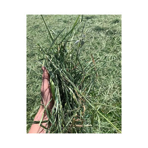 หญ้าแห้งอัดเม็ดและมัดรวมชนิดธรรมชาติ 100% สำหรับอาหารม้าและสุกร - หญ้าอัลฟัลฟ่าและทิโมธี - Product Image 4